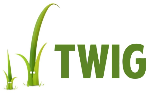 Twig install & setup of the template engine
